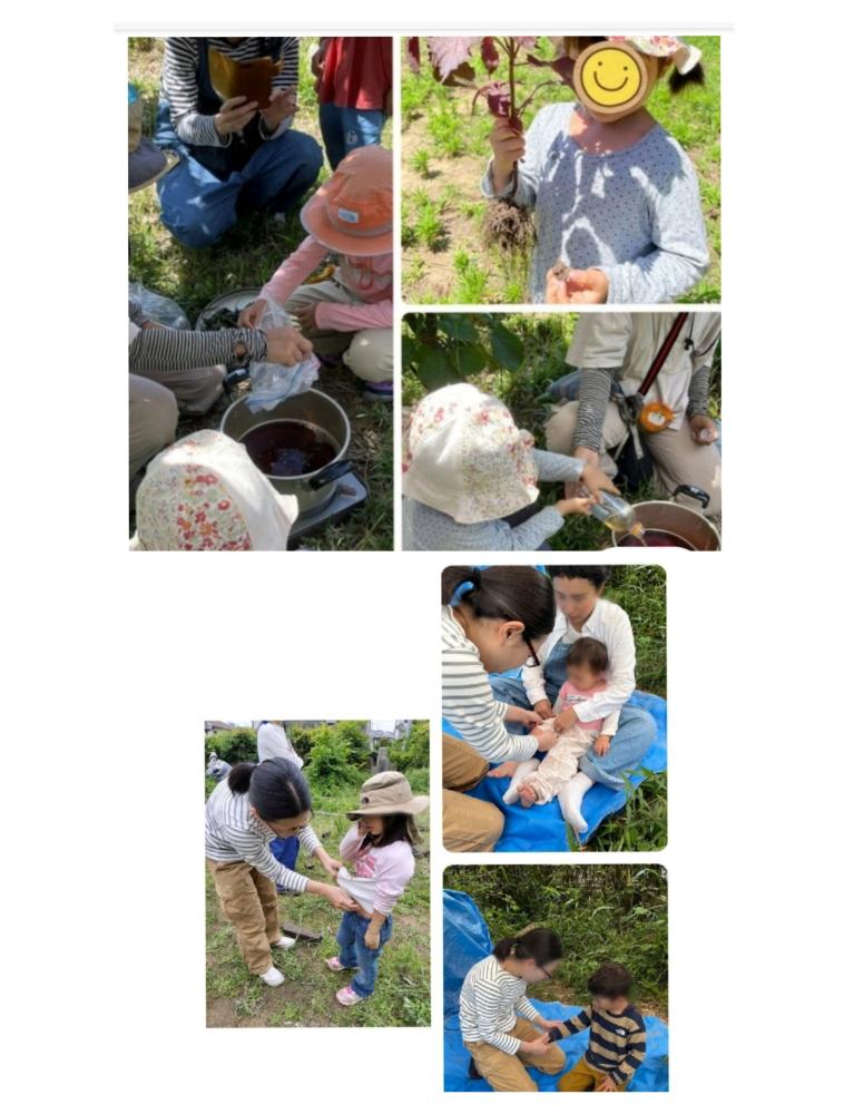「イベント募集」赤紫蘇ジュース作り＆小児鍼