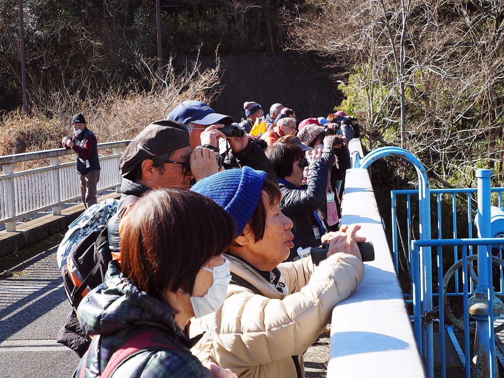野鳥観察会