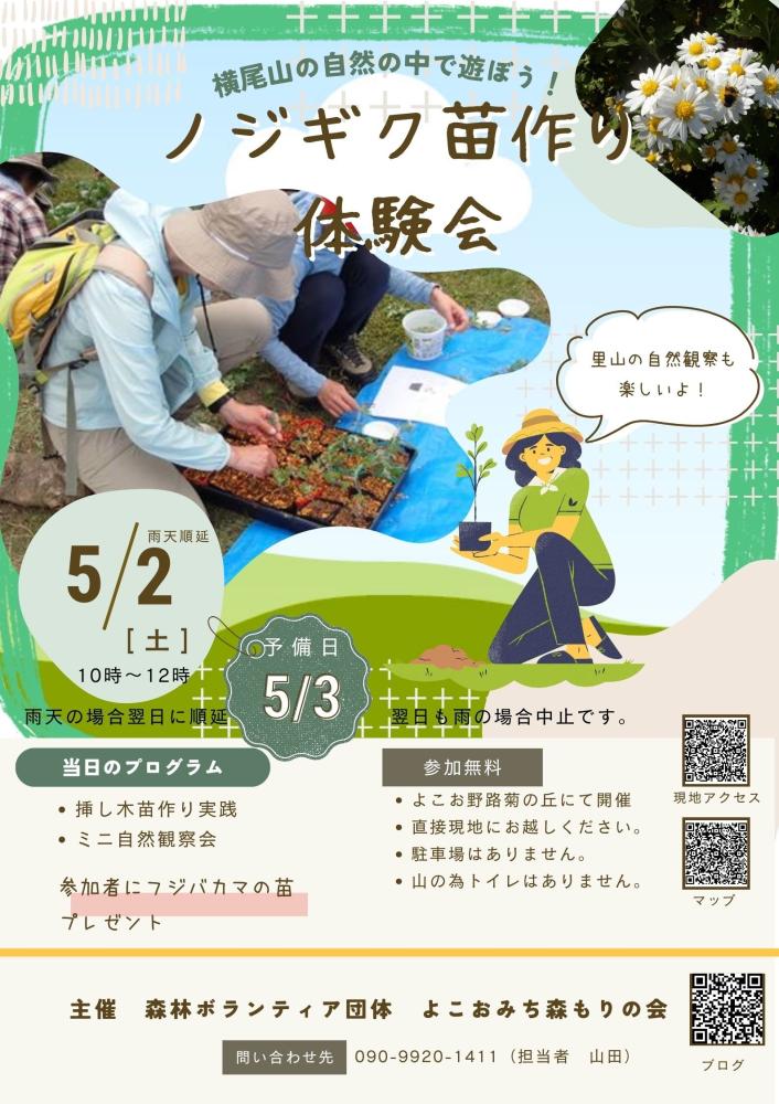 ノジギク挿し芽苗作り体験会への参加者募集