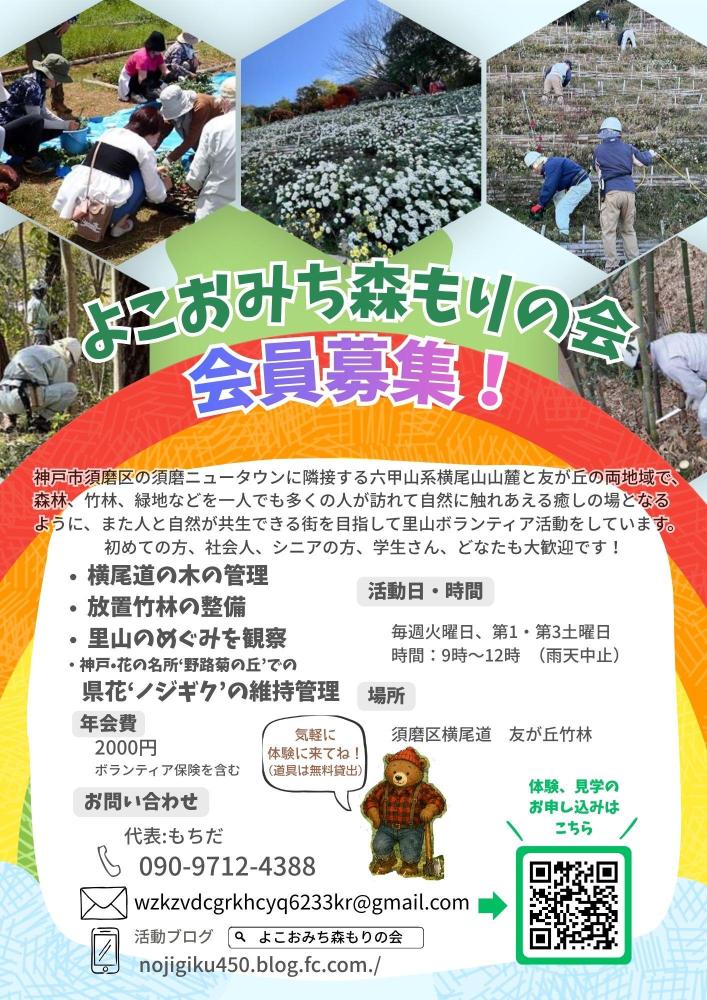 自然の中で思いっきり体を動かそう！森の整備作業体験参加者募集中！