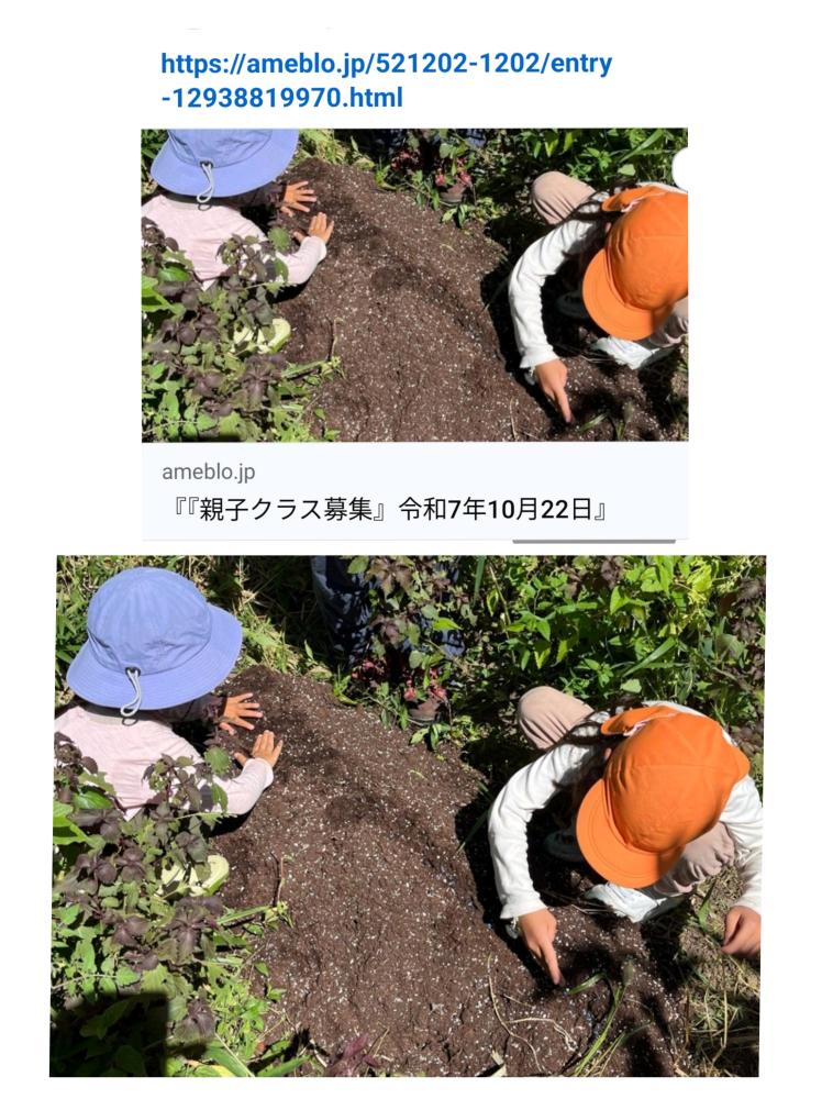 「イベント募集」赤かぶと大根の種まき
