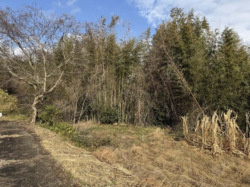 竹林整備ボランティア募集　西区押部谷町和田