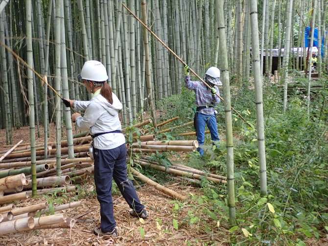 須磨区多井畑の里山での放置竹林の整備活動（竹の伐採、チップ化、竹炭化など）