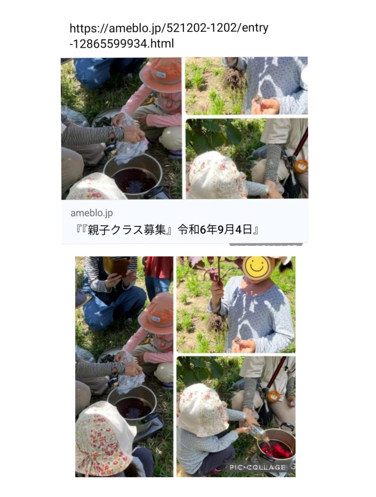 『イベント募集』無農薬の赤紫蘇を収穫して紫蘇ジュース作り＆小児鍼