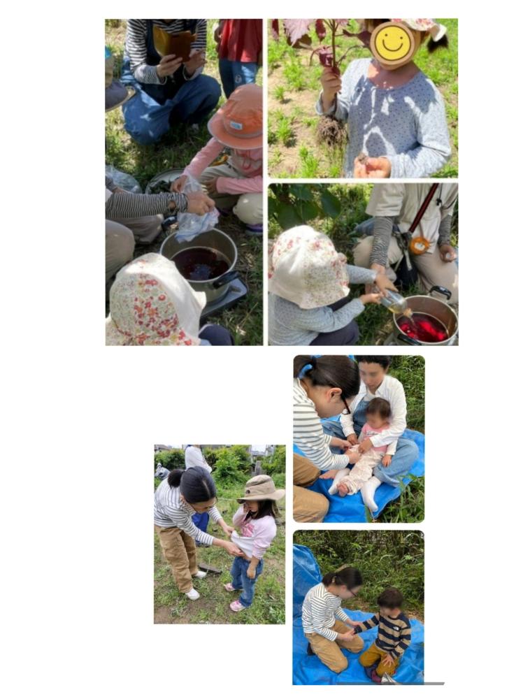 「イベント募集」紫蘇ジュース作り＆小児鍼体験