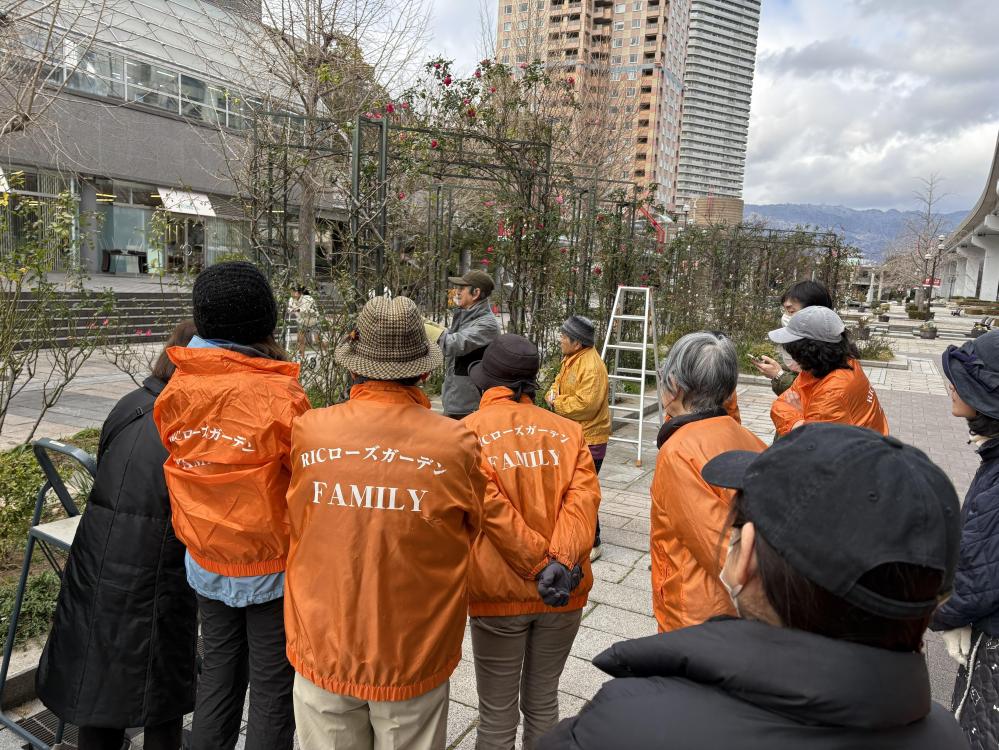 ローズガーデンの清掃活動　ボランティア募集！