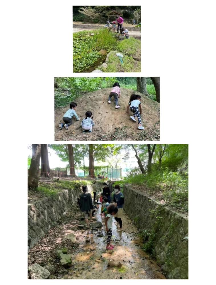 『イベント募集』とびまつの森で川遊びをしよう