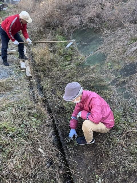 コミュニティ農園の草引き・草刈り大会