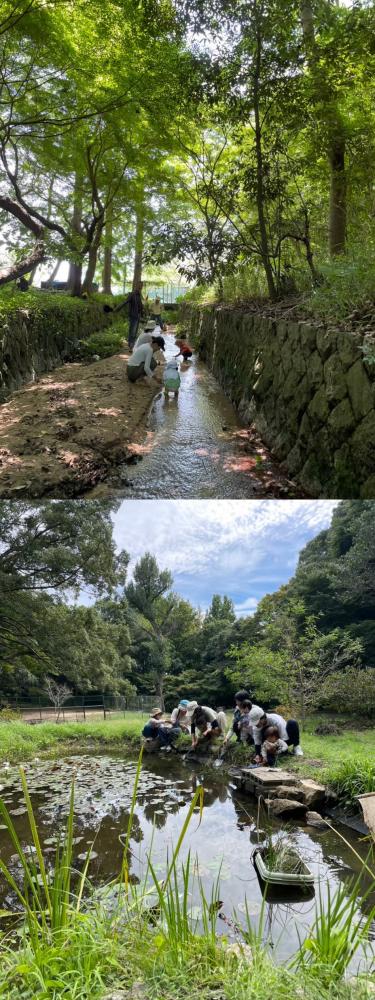 「イベント募集」とびまつの森で川遊び＆ビオトープで生き物探し