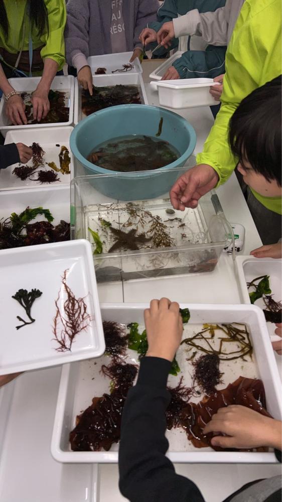 すま里海教室2026　親子で海のことを学ぶ体験型教室