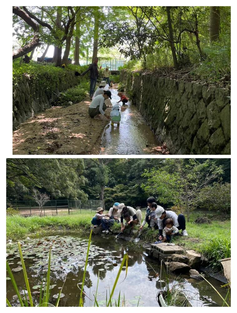 「イベント募集」とびまつの森のビオートープで生き物探し