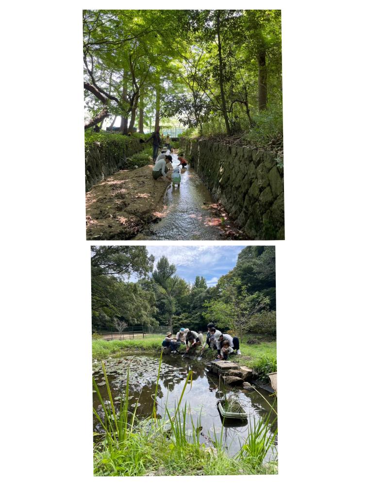 「イベント募集」とびまつの森で川遊び