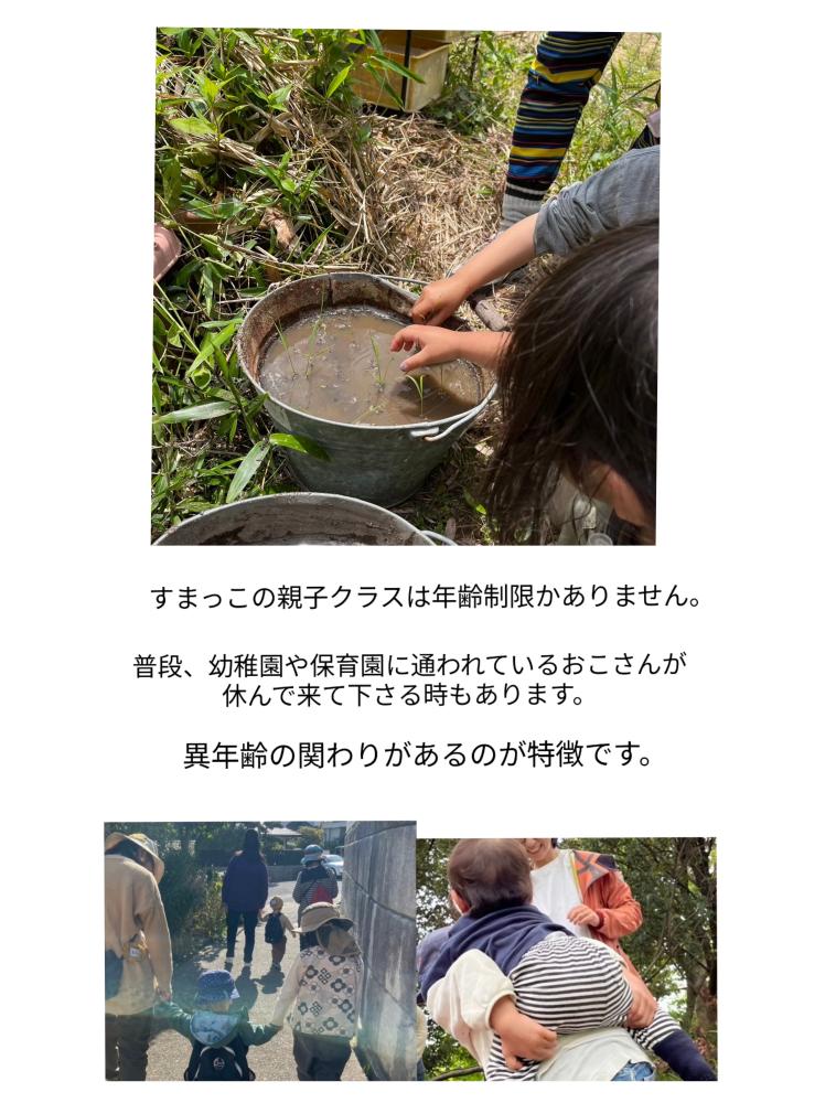 「イベント募集」バケツ稲の田植え＆モロヘイヤの種まき