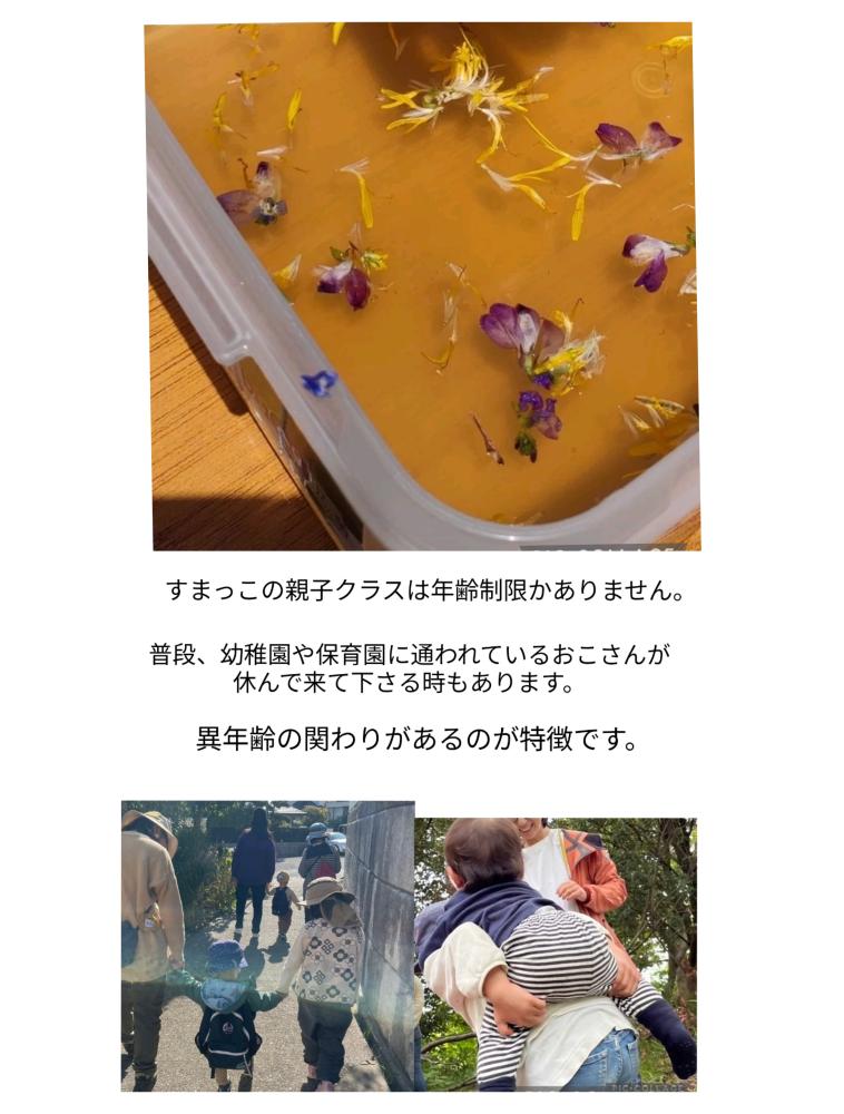 「イベント募集」オオイヌノフグリやカタバミの花等で寒天ゼリーを作ろう