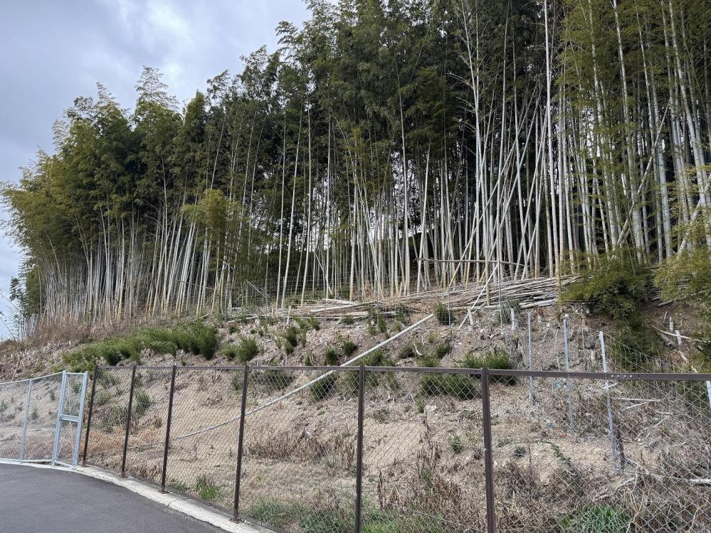 竹林整備ボランティア募集　西区伊川谷地区