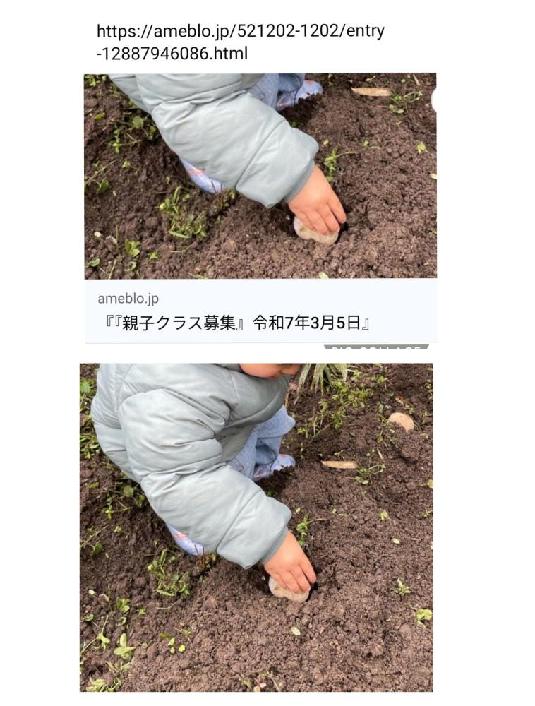 「イベント募集」じゃがいもの種芋植え
